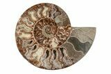 Agatized, Cut & Polished Ammonite Fossil - Madagasar #191586-7